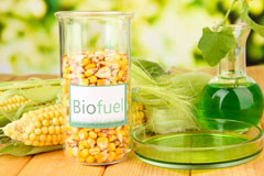 Hints biofuel availability