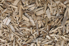 biomass boilers Hints